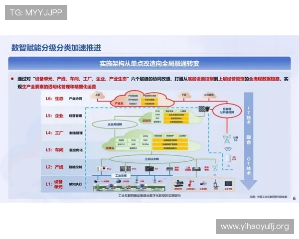 壹号网信息：未来壹号网的发展战略与创新方向展望